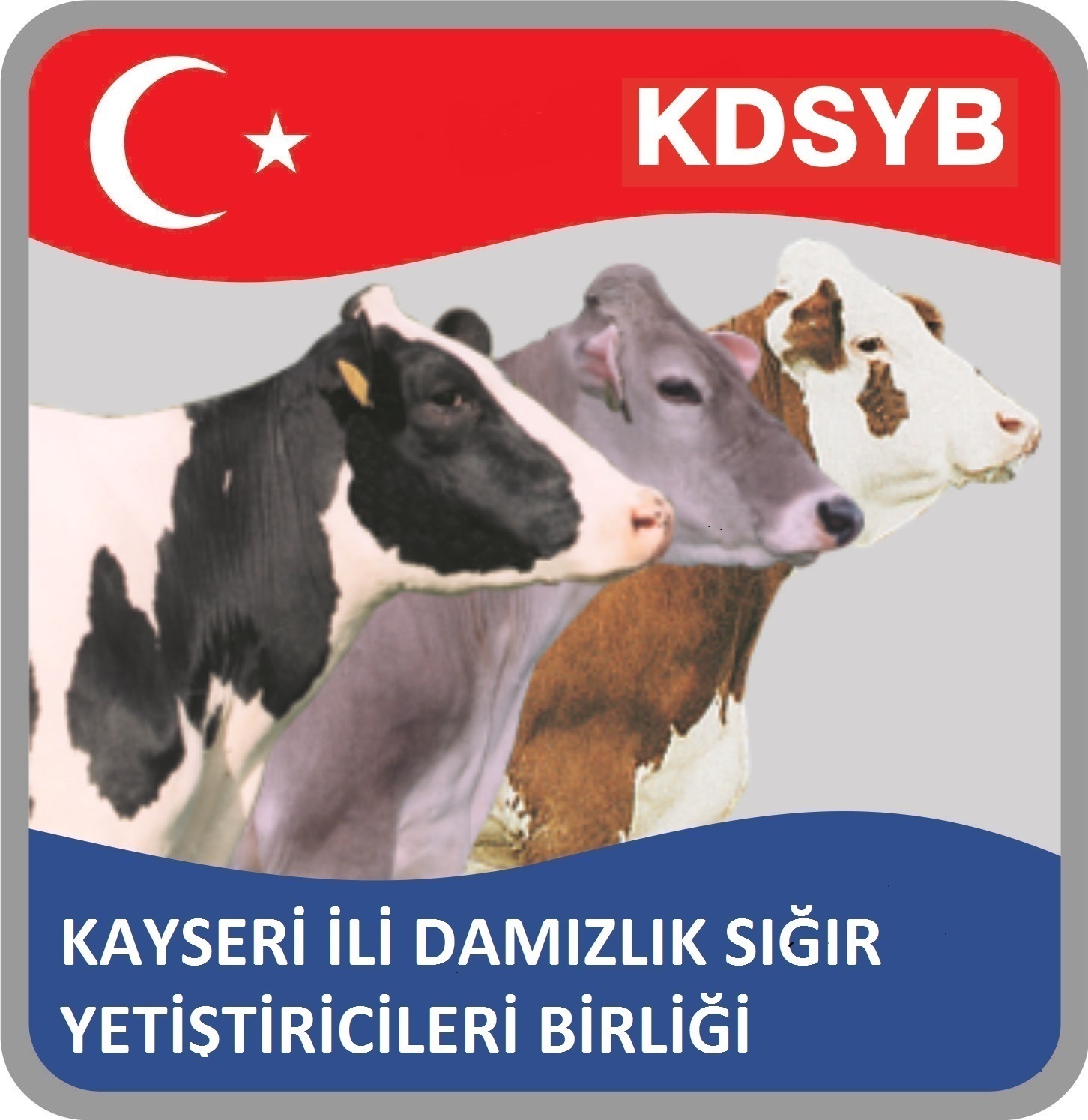Kayseri İli Damızlık Sığır Yetiştiricileri Birliği